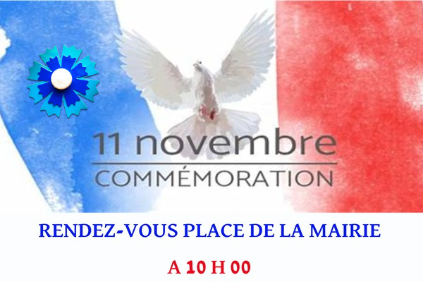 Commémoration du 11 novembre...